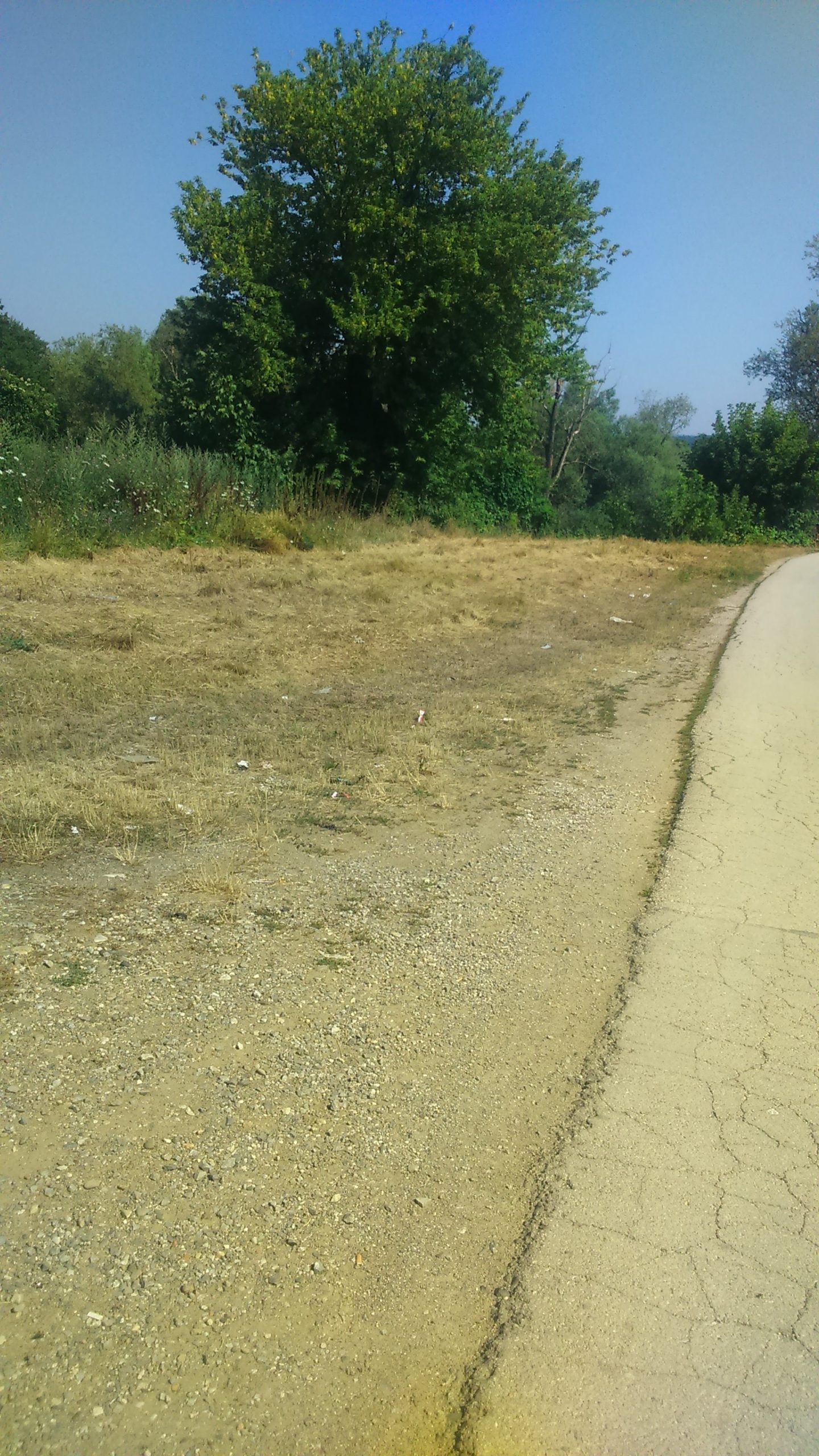 Кошење у улици Илије Гарашанина