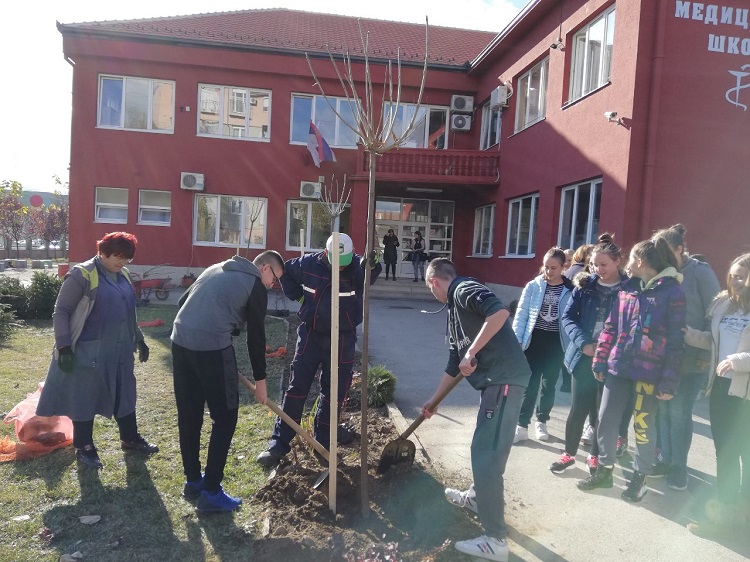 Садња у Медицинској школи у Чачку
