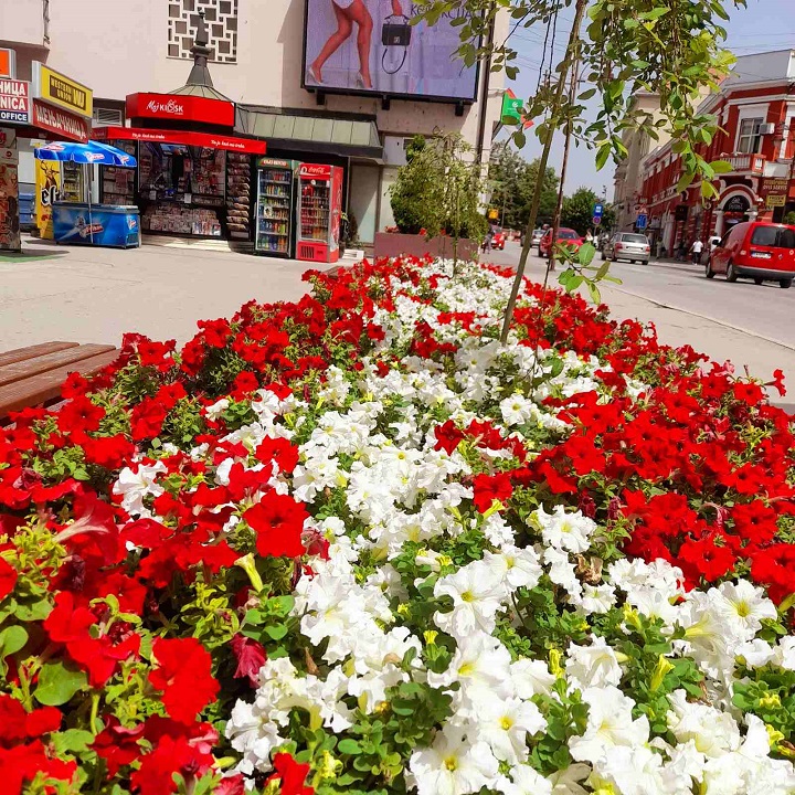 Неке од наших активности у Чачку