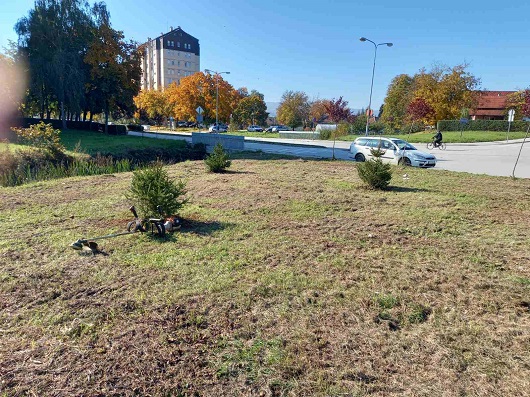 Пројекат ,,Зелени појас Чачка” – улица Данице Марковић