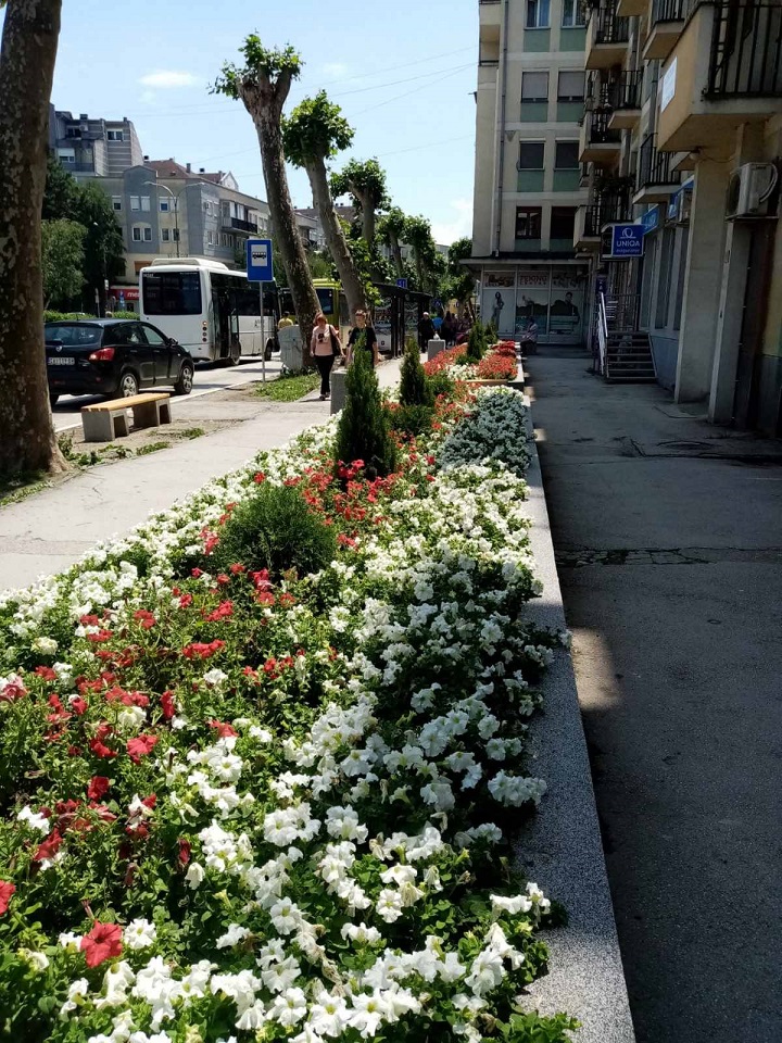 Данашњи радови на кружном току Прељина 2, у улици Веселина Миликића и  код Солида