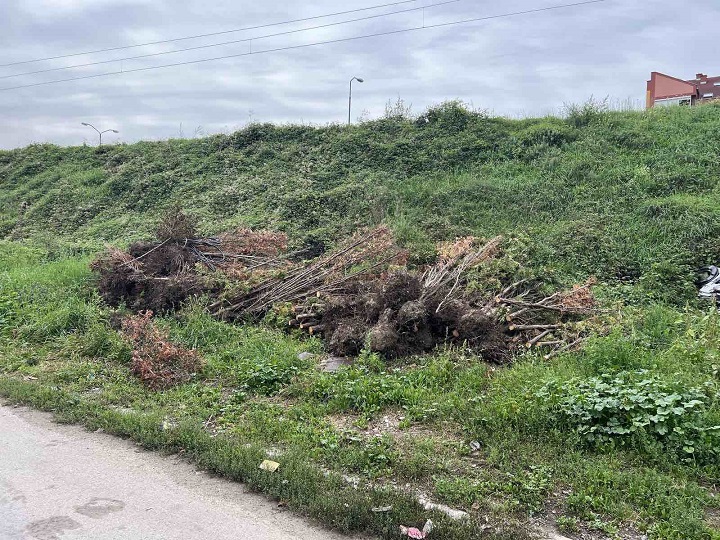 Апел суграђанима